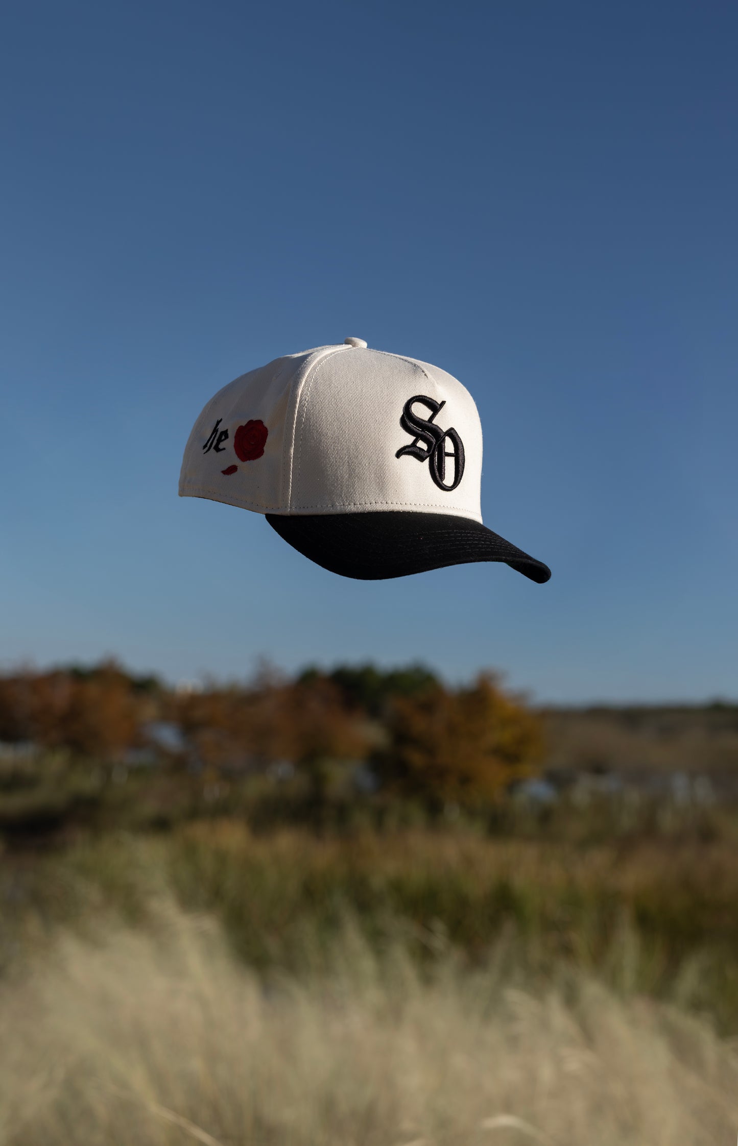 "The Creation" Colorway