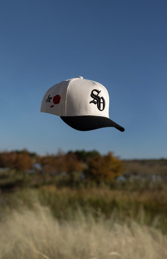 "The Creation" Colorway