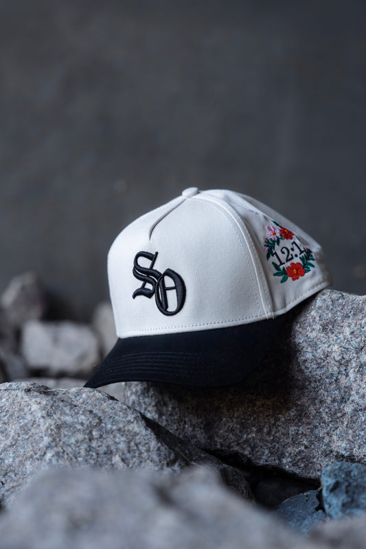 "The Creation" Colorway